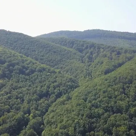 Villa Med'Ok 维日尼察 外观 照片