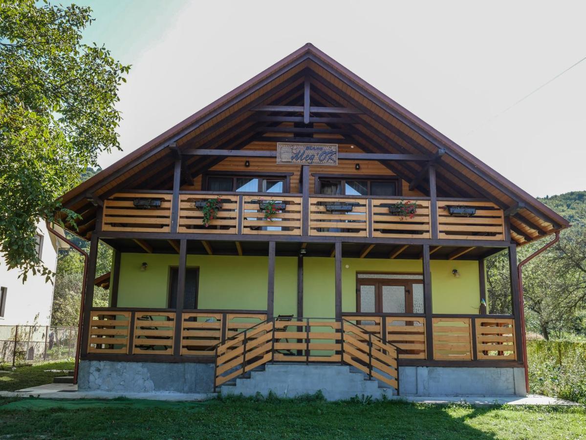 Med'ok Apartment Vyzhnytsya